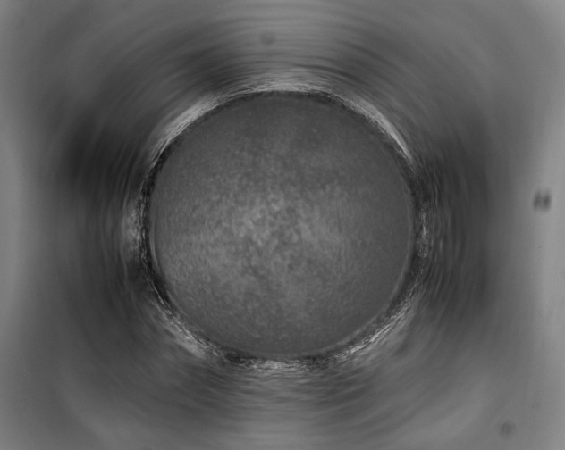X0000100380874200806061216