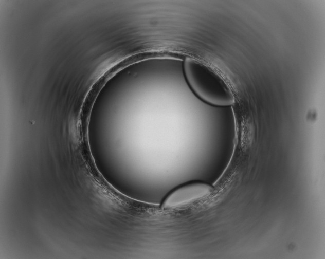X0000100380876200806061216
