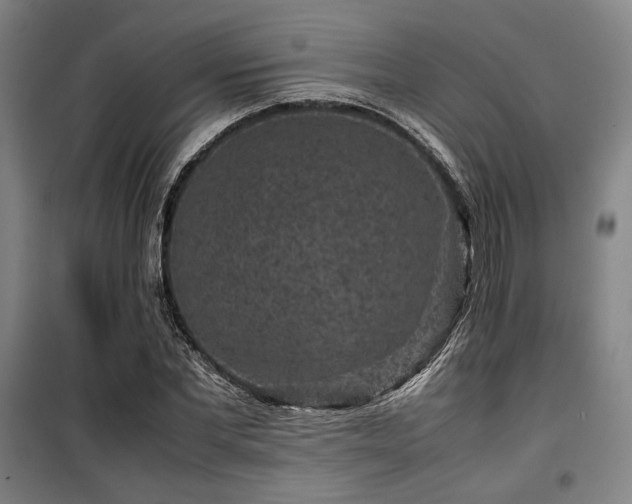 X0000100380877200806061216