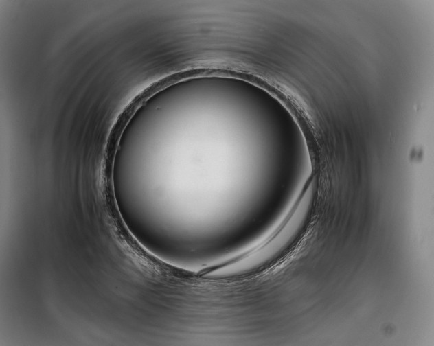 X0000100380880200806061216