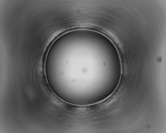 X0000100380883200806061216
