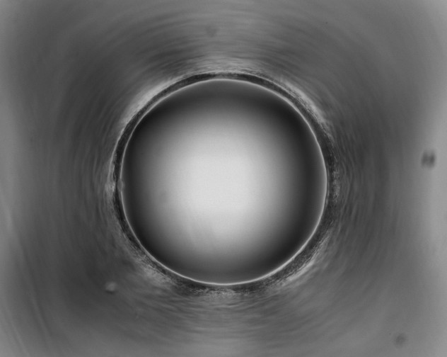 X0000100380885200806061216