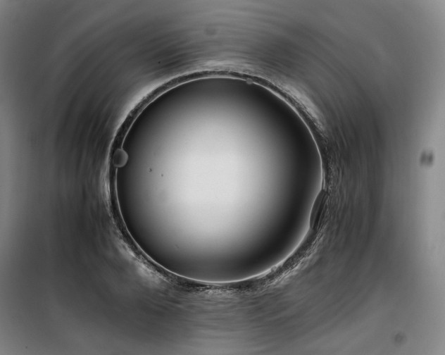 X0000100380888200806061216