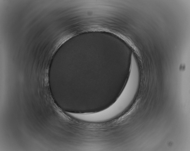 X0000100380889200806061216