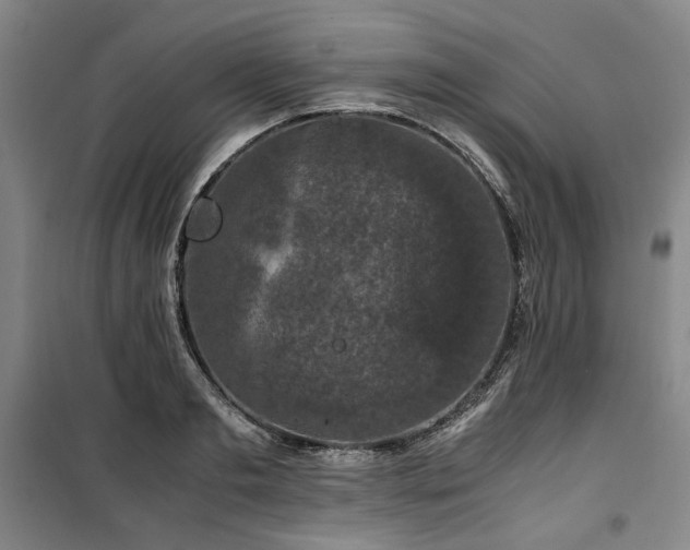 X0000100380893200806061216