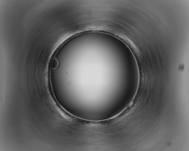 X0000100380894200806061216