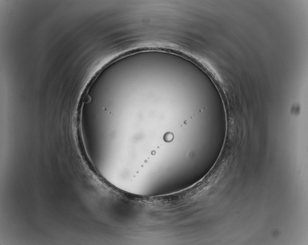 X0000100380895200806061216