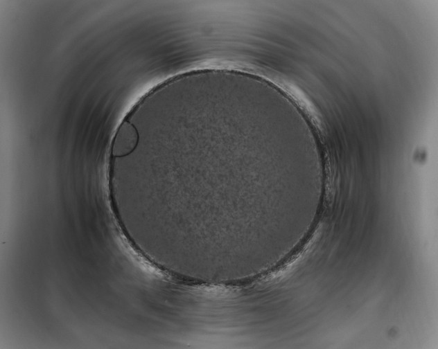 X0000100380896200806061216
