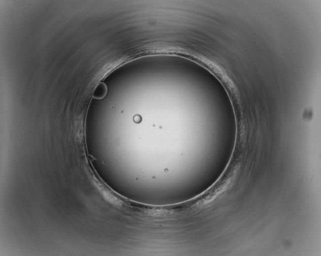 X0000100380897200806061216