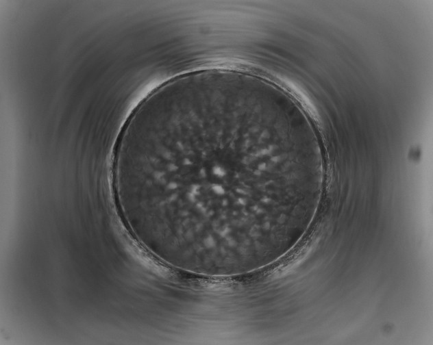 X0000100380899200806061216