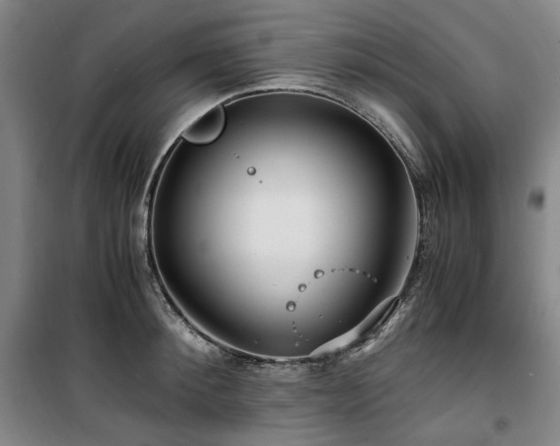 X0000100380900200806061216