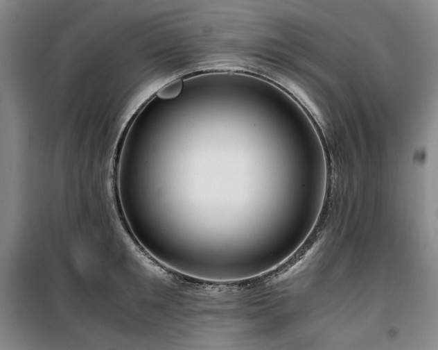 X0000100380901200806061216