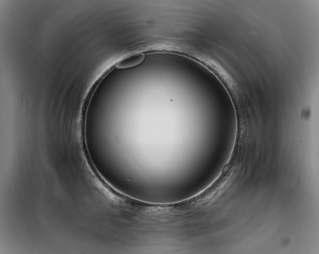 X0000100380902200806061216