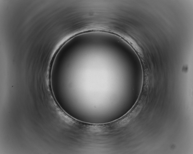 X0000100380904200806061216