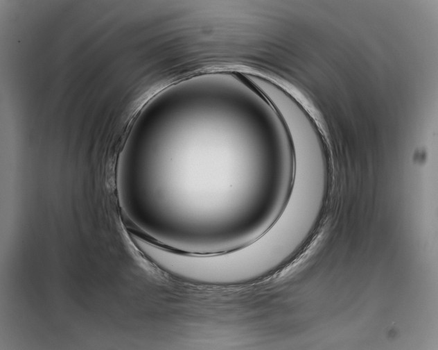 X0000100380905200806061216