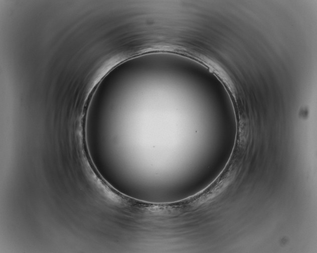 X0000100380906200806061216
