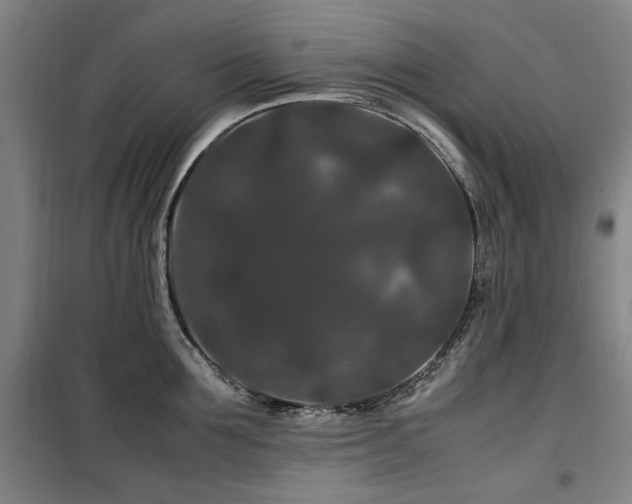 X0000100380907200806061216