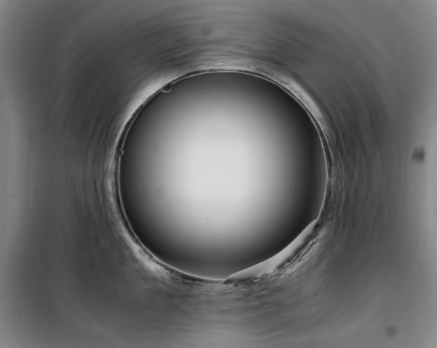 X0000100380909200806061215