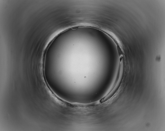 X0000100380910200806061215