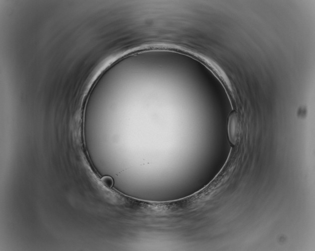 X0000100380911200806061215