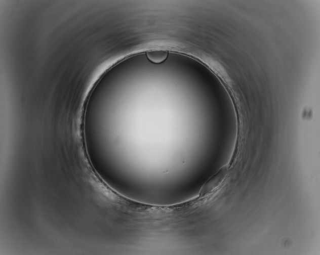 X0000100380912200806061215