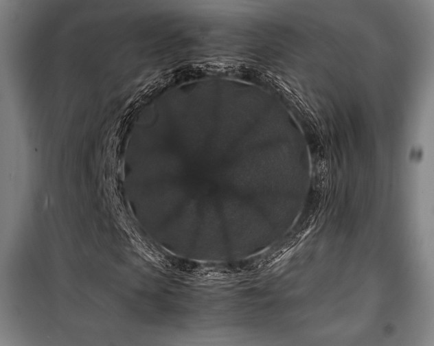 X0000100380913200806061215