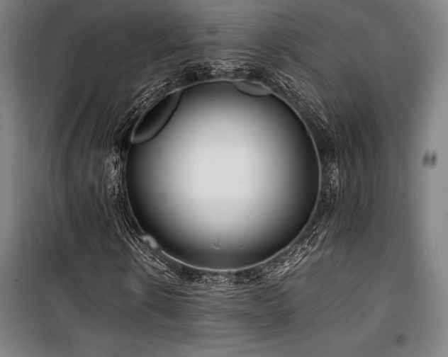 X0000100380914200806061215