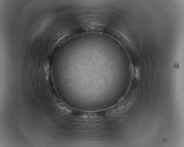 X0000100380915200806061215
