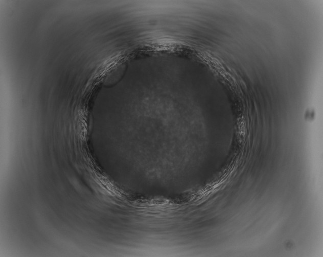 X0000100380916200806061215