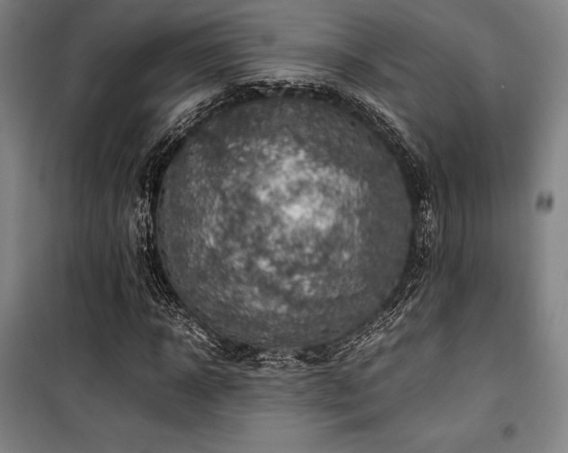 X0000100380918200806061215