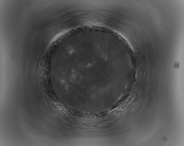 X0000100380919200806061215