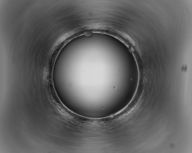 X0000100380922200806061215