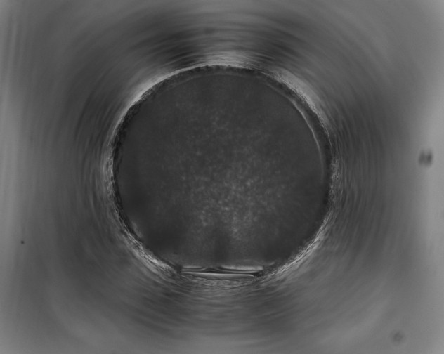 X0000100380923200806061215