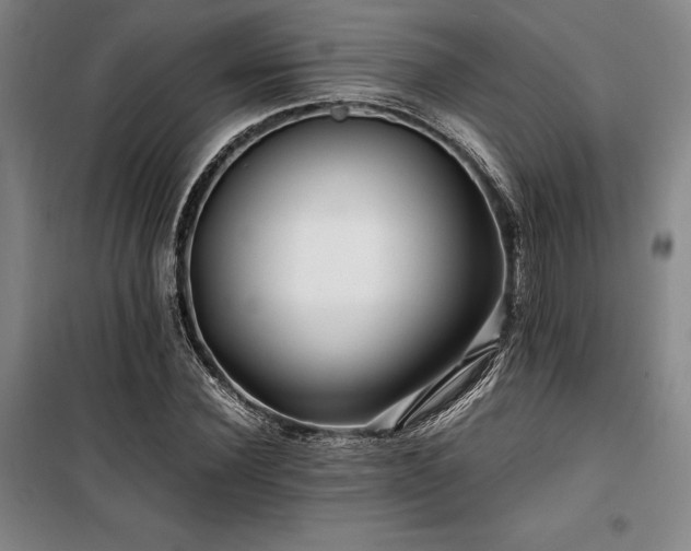 X0000100380924200806061215