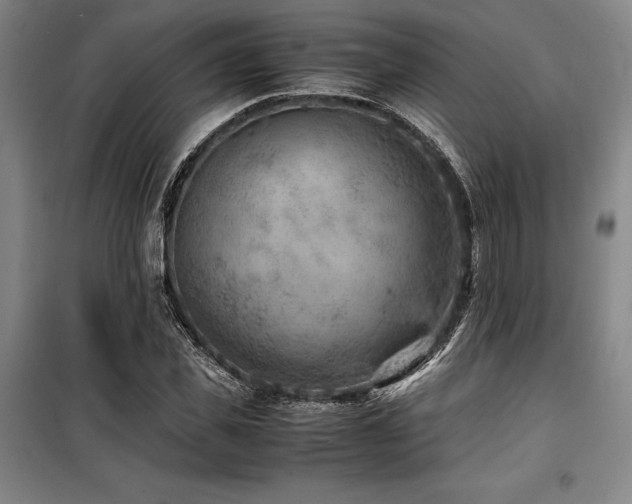 X0000100380925200806061215