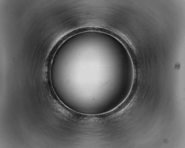 X0000100380926200806061215