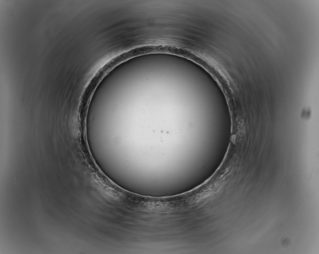 X0000100380927200806061215