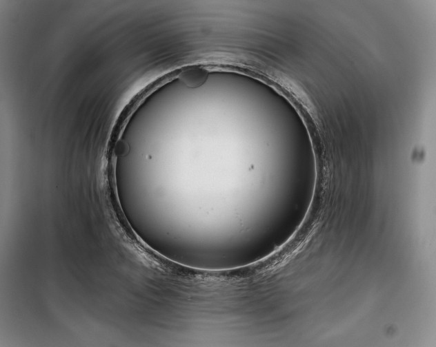 X0000100380928200806061215