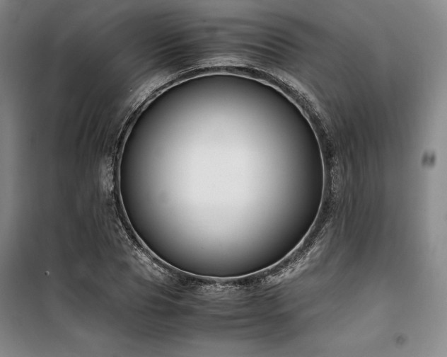 X0000100380929200806061215