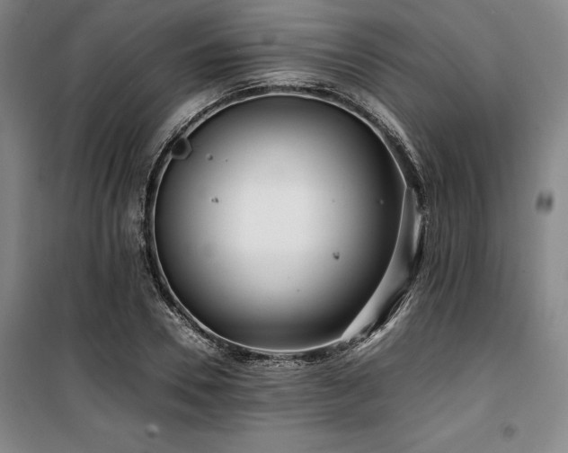 X0000100380930200806061215