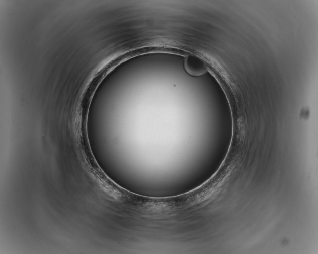 X0000100380931200806061215