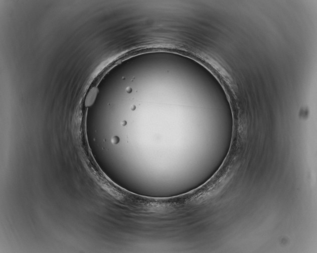 X0000100380933200806061215