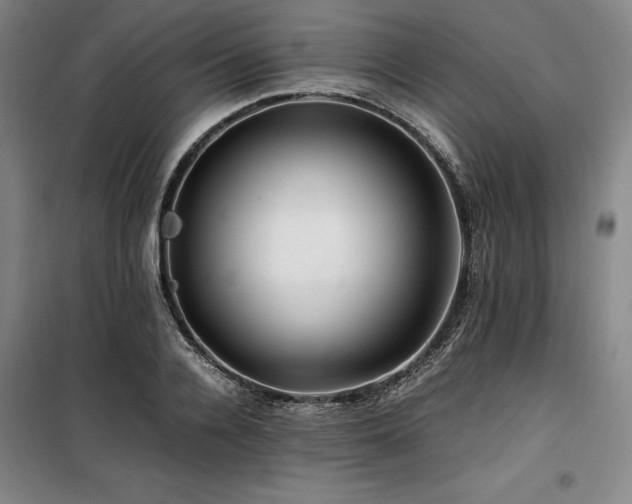 X0000100380936200806061215