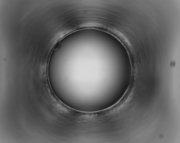 X0000100380937200806061215