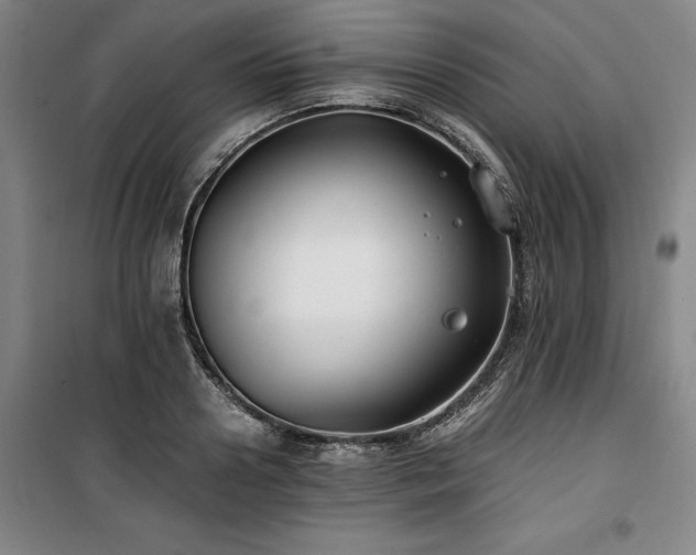 X0000100380938200806061215