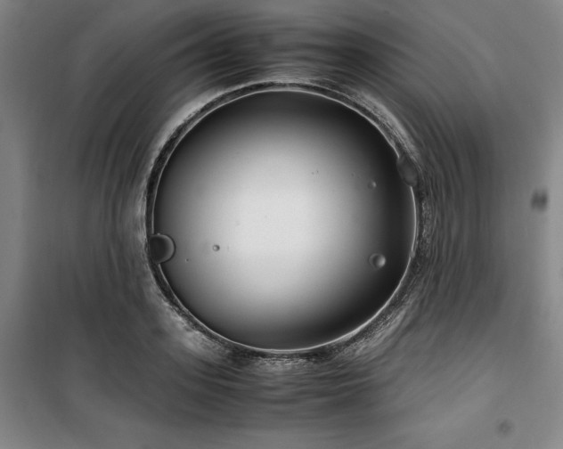 X0000100380939200806061215