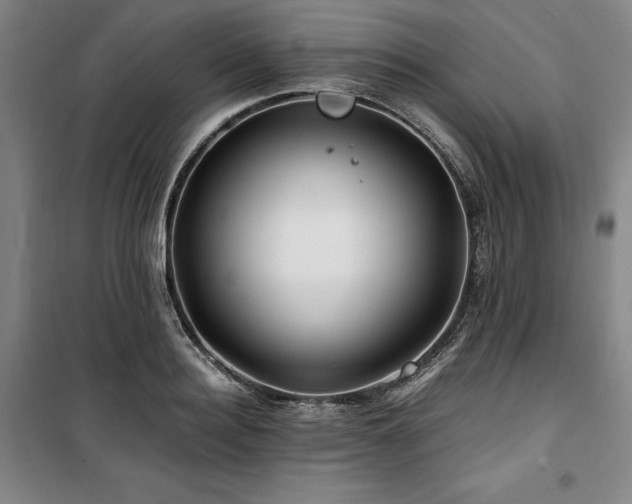 X0000100380940200806061215