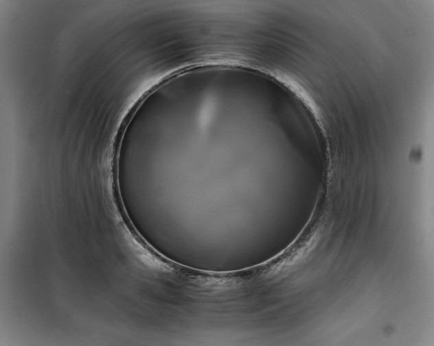 X0000100380941200806061215