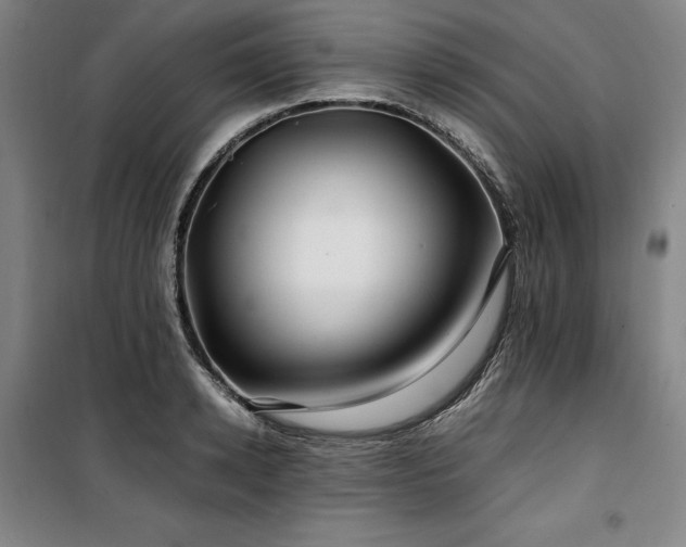 X0000100380942200806061215
