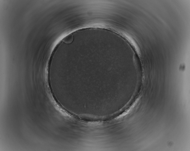 X0000100380944200806061215